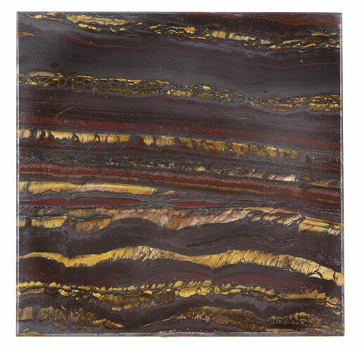 Tiger Iron Stromatolite Shower Tile - Billion Years Old #48787